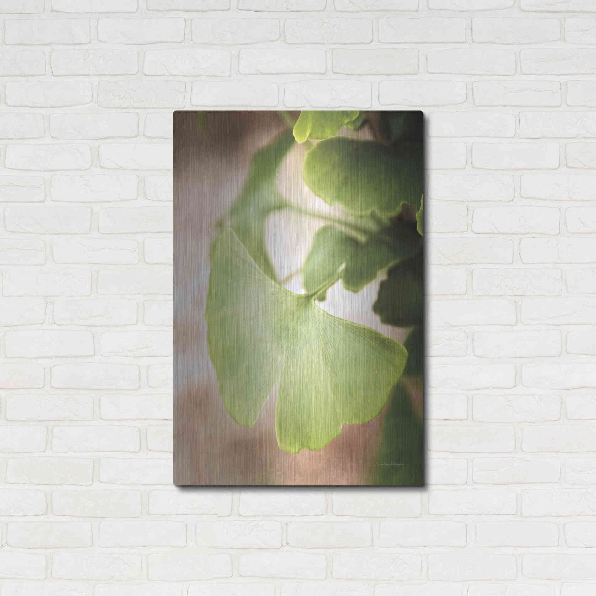 Luxe Metal Art 'Sprouting Ginkgo III' by Debra Van Swearingen, Metal Wall Art,24x36