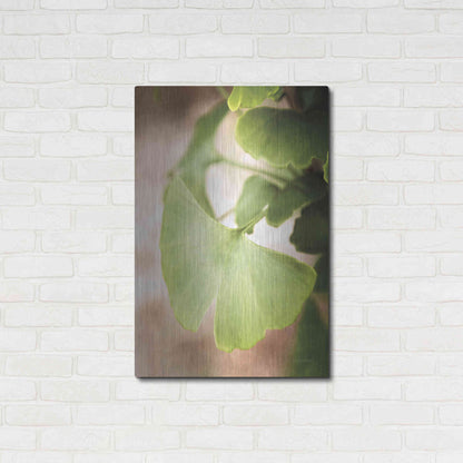Luxe Metal Art 'Sprouting Ginkgo III' by Debra Van Swearingen, Metal Wall Art,24x36