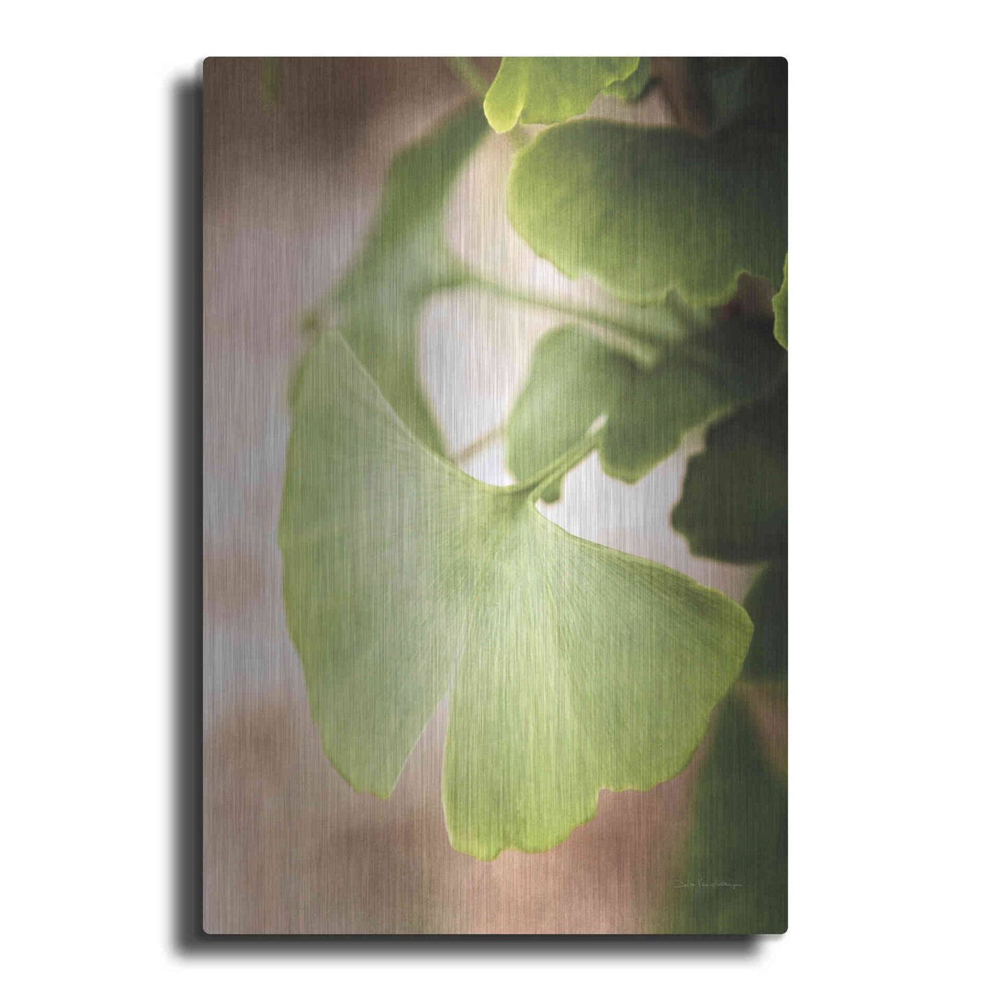 Luxe Metal Art 'Sprouting Ginkgo III' by Debra Van Swearingen, Metal Wall Art