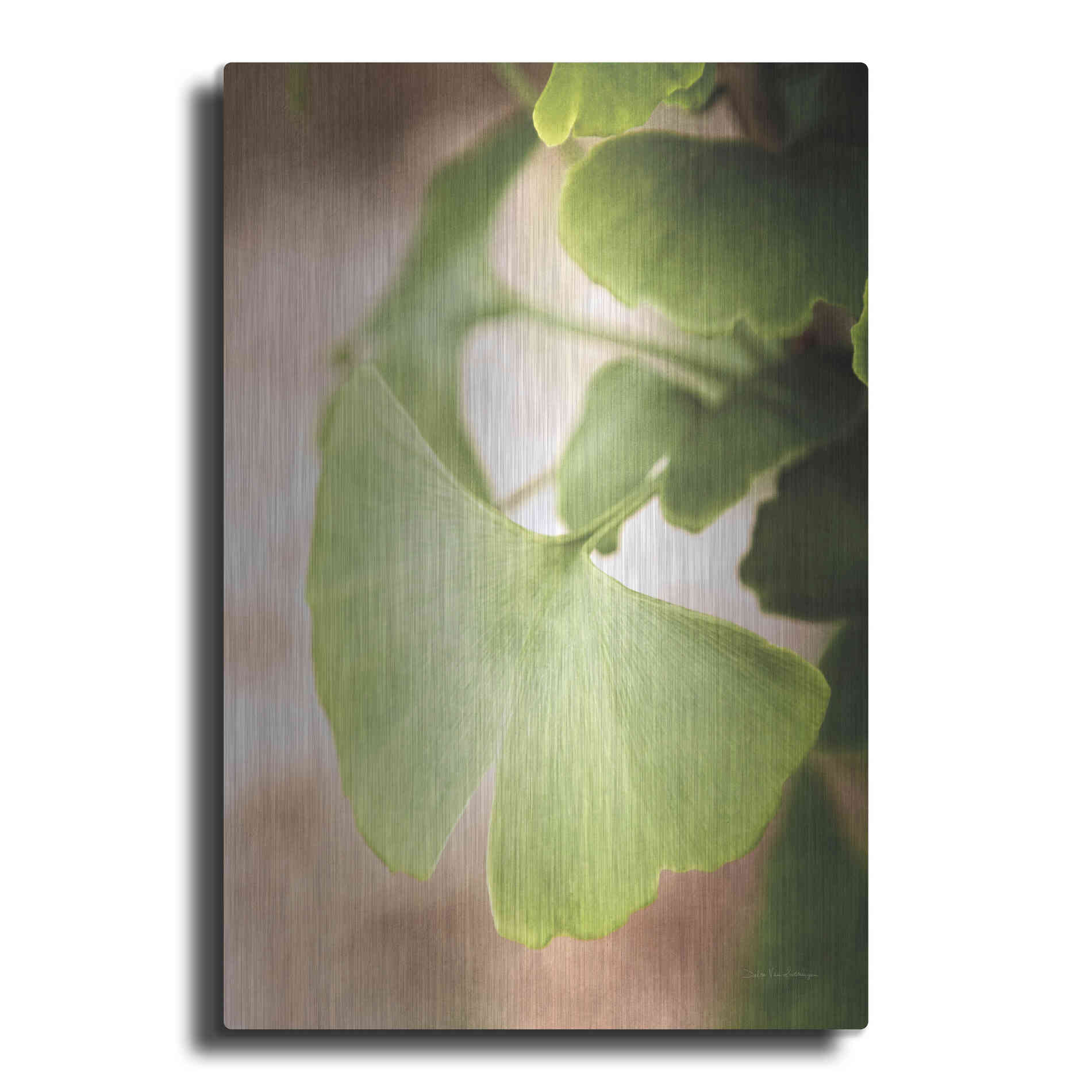Luxe Metal Art 'Sprouting Ginkgo III' by Debra Van Swearingen, Metal Wall Art