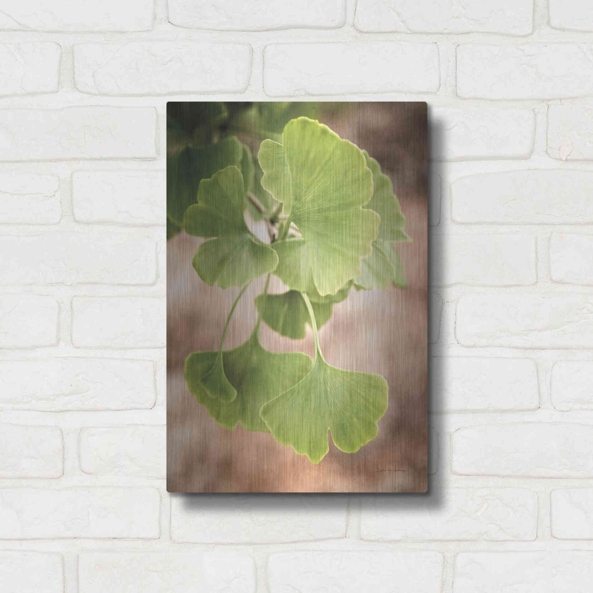 Luxe Metal Art 'Sprouting Ginkgo IV' by Debra Van Swearingen, Metal Wall Art,12x16