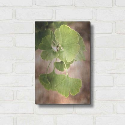 Luxe Metal Art 'Sprouting Ginkgo IV' by Debra Van Swearingen, Metal Wall Art,12x16
