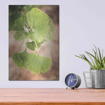 Luxe Metal Art 'Sprouting Ginkgo IV' by Debra Van Swearingen, Metal Wall Art,12x16