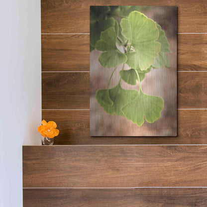 Luxe Metal Art 'Sprouting Ginkgo IV' by Debra Van Swearingen, Metal Wall Art,12x16