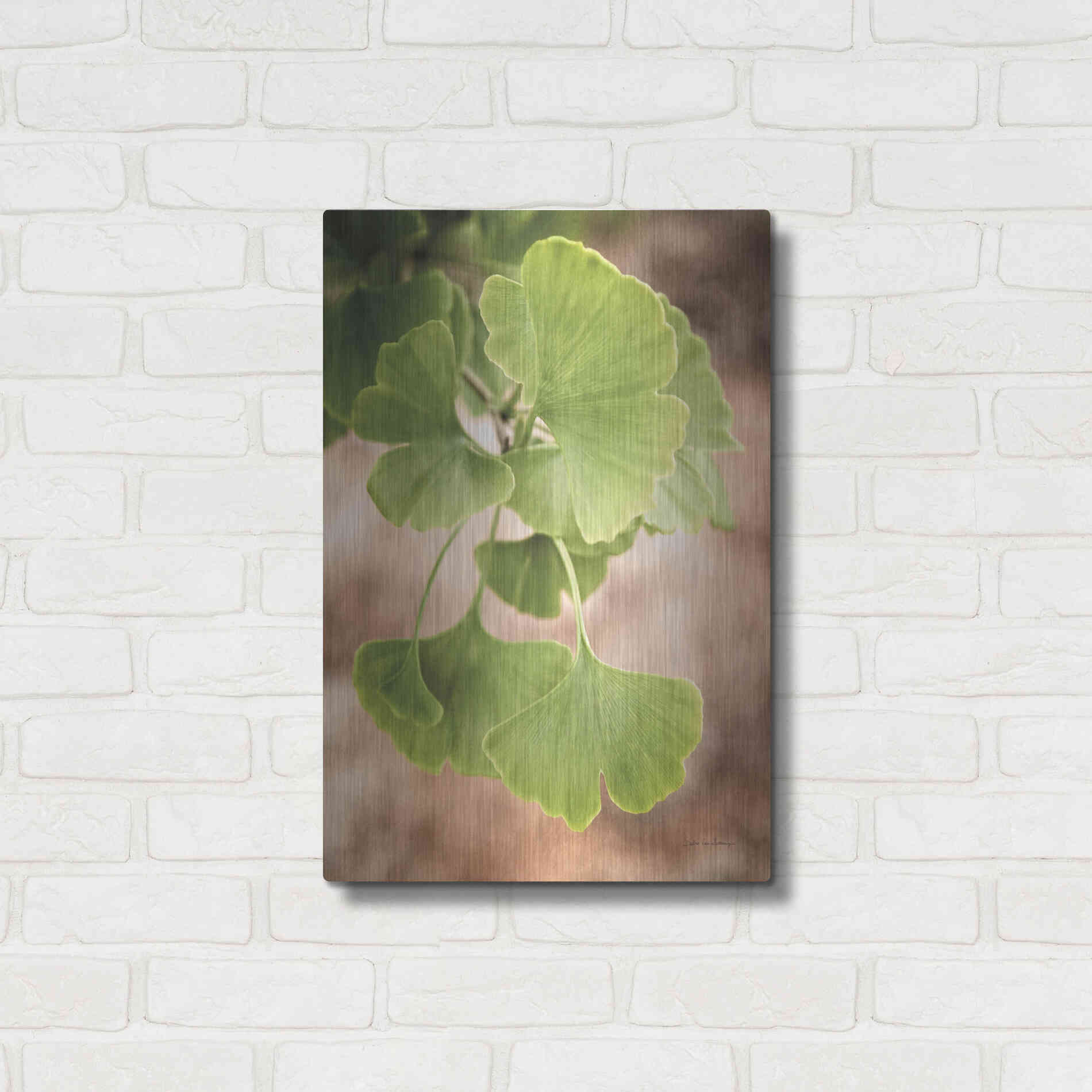Luxe Metal Art 'Sprouting Ginkgo IV' by Debra Van Swearingen, Metal Wall Art,16x24