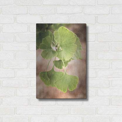 Luxe Metal Art 'Sprouting Ginkgo IV' by Debra Van Swearingen, Metal Wall Art,16x24