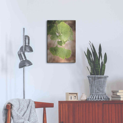 Luxe Metal Art 'Sprouting Ginkgo IV' by Debra Van Swearingen, Metal Wall Art,16x24