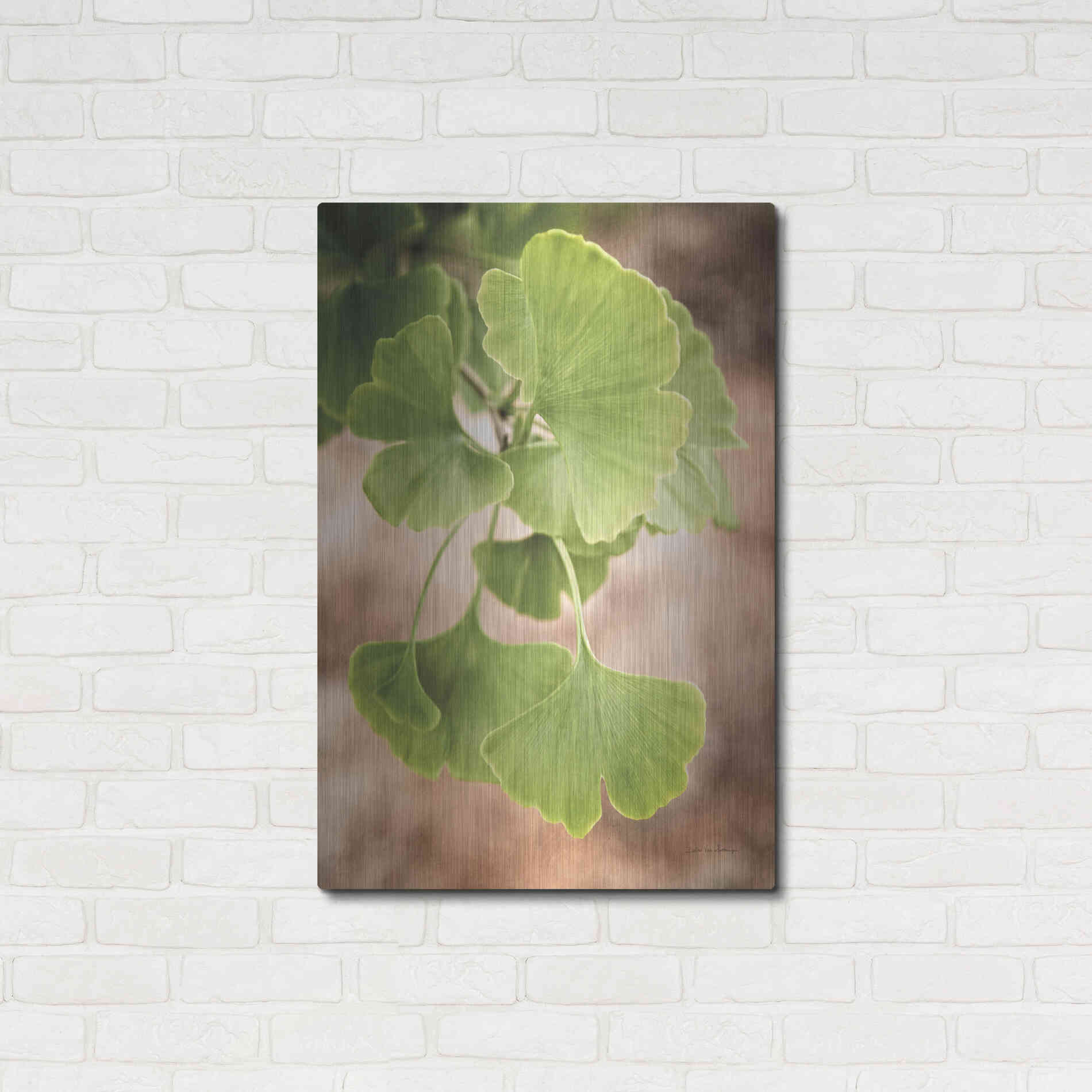 Luxe Metal Art 'Sprouting Ginkgo IV' by Debra Van Swearingen, Metal Wall Art,24x36