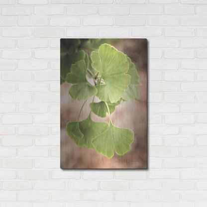 Luxe Metal Art 'Sprouting Ginkgo IV' by Debra Van Swearingen, Metal Wall Art,24x36