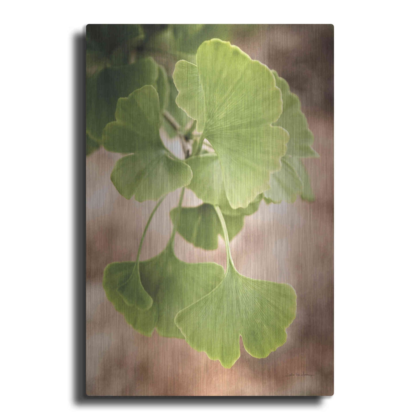 Luxe Metal Art 'Sprouting Ginkgo IV' by Debra Van Swearingen, Metal Wall Art