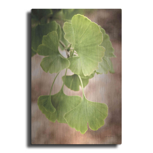Luxe Metal Art 'Sprouting Ginkgo IV' by Debra Van Swearingen, Metal Wall Art