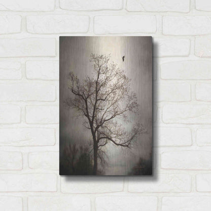 Luxe Metal Art 'The Flyover' by Debra Van Swearingen, Metal Wall Art,12x16