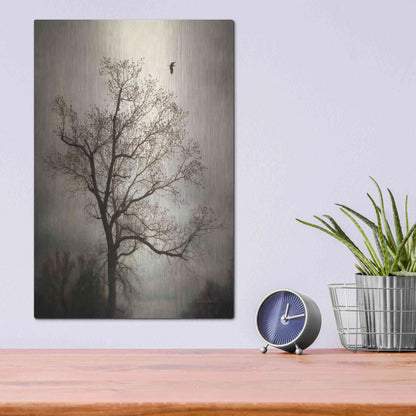 Luxe Metal Art 'The Flyover' by Debra Van Swearingen, Metal Wall Art,12x16
