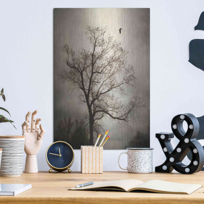 Luxe Metal Art 'The Flyover' by Debra Van Swearingen, Metal Wall Art,12x16