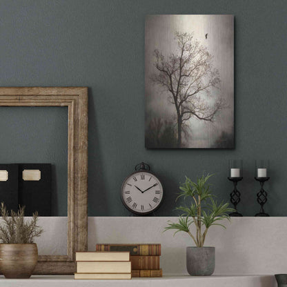 Luxe Metal Art 'The Flyover' by Debra Van Swearingen, Metal Wall Art,12x16
