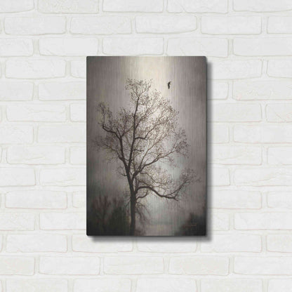 Luxe Metal Art 'The Flyover' by Debra Van Swearingen, Metal Wall Art,16x24