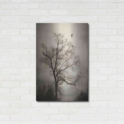 Luxe Metal Art 'The Flyover' by Debra Van Swearingen, Metal Wall Art,24x36