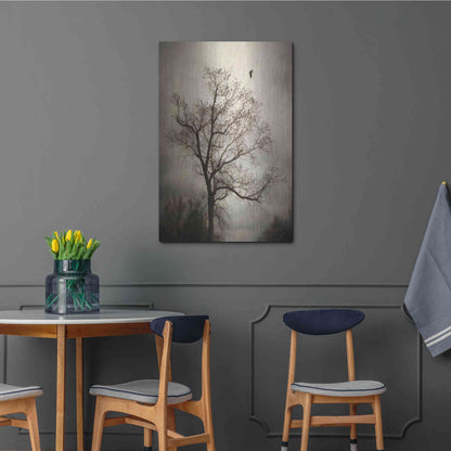Luxe Metal Art 'The Flyover' by Debra Van Swearingen, Metal Wall Art,24x36