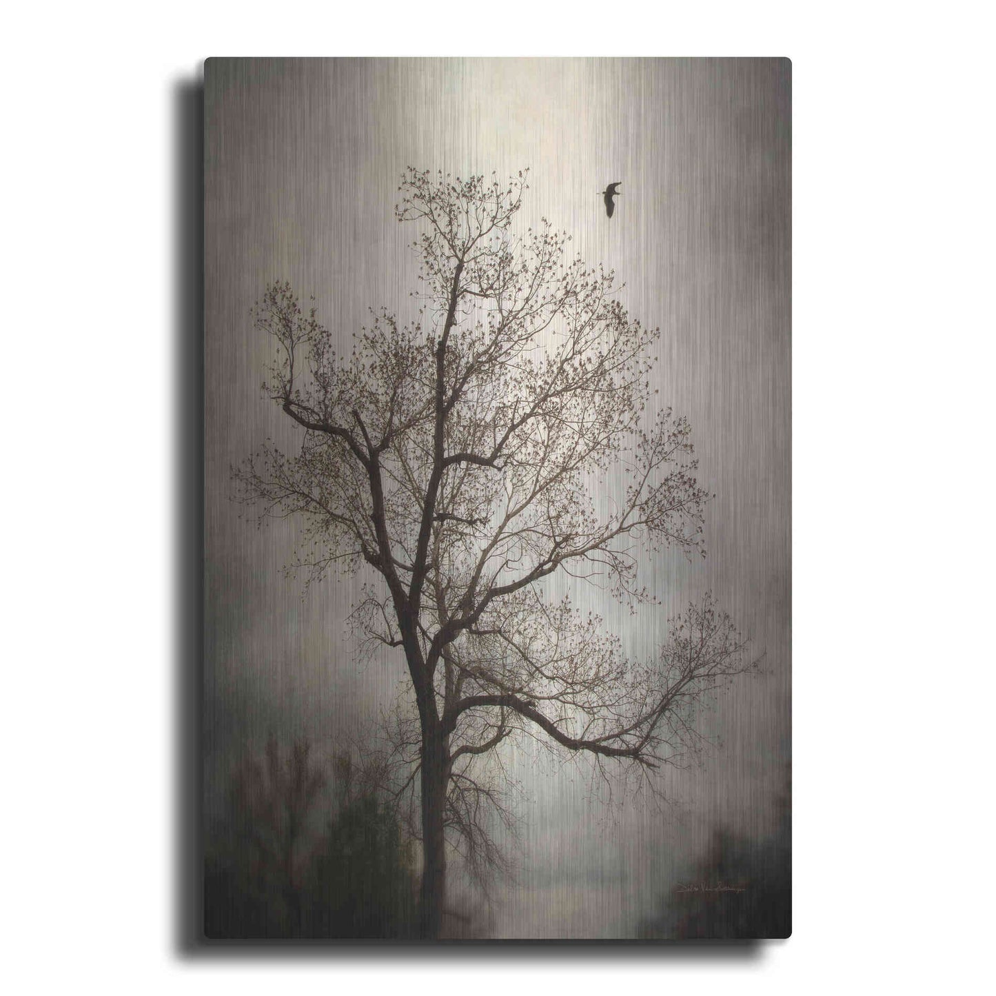 Luxe Metal Art 'The Flyover' by Debra Van Swearingen, Metal Wall Art