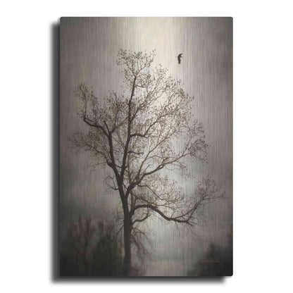 Luxe Metal Art 'The Flyover' by Debra Van Swearingen, Metal Wall Art