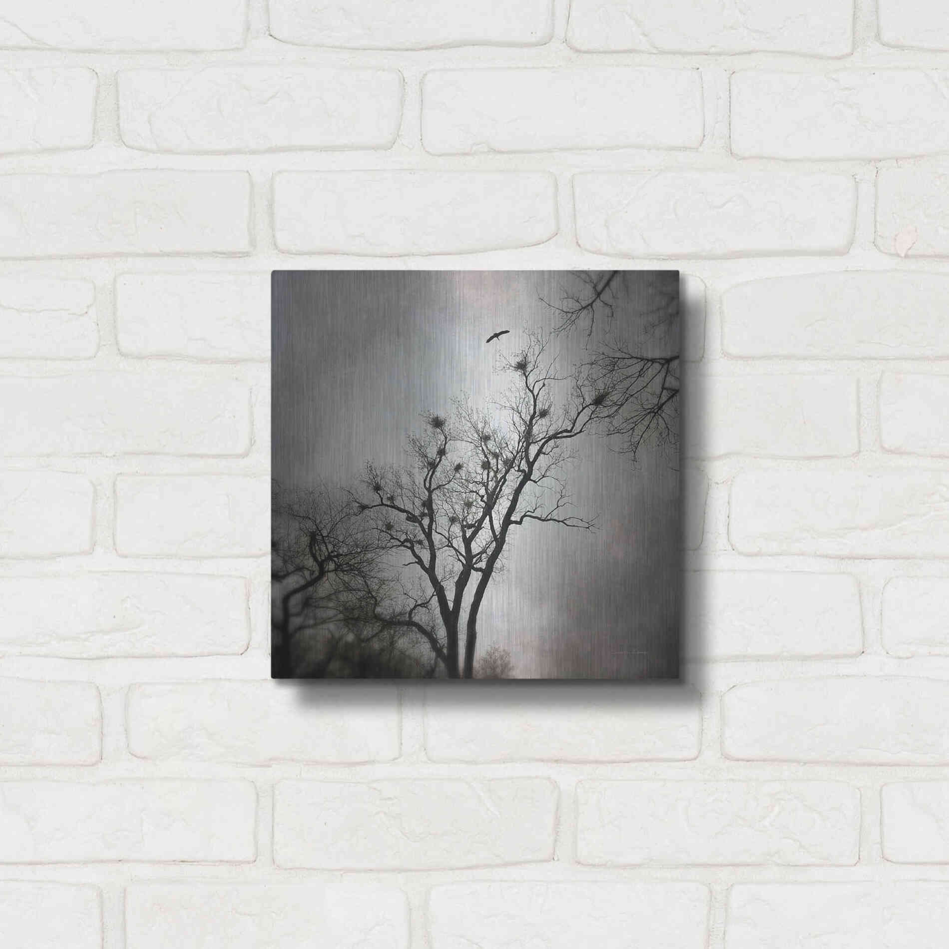 Luxe Metal Art 'The Heron Rookery' by Debra Van Swearingen, Metal Wall Art,12x12