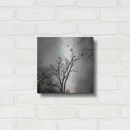 Luxe Metal Art 'The Heron Rookery' by Debra Van Swearingen, Metal Wall Art,12x12