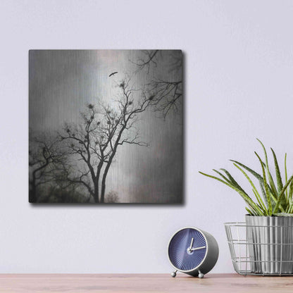 Luxe Metal Art 'The Heron Rookery' by Debra Van Swearingen, Metal Wall Art,12x12