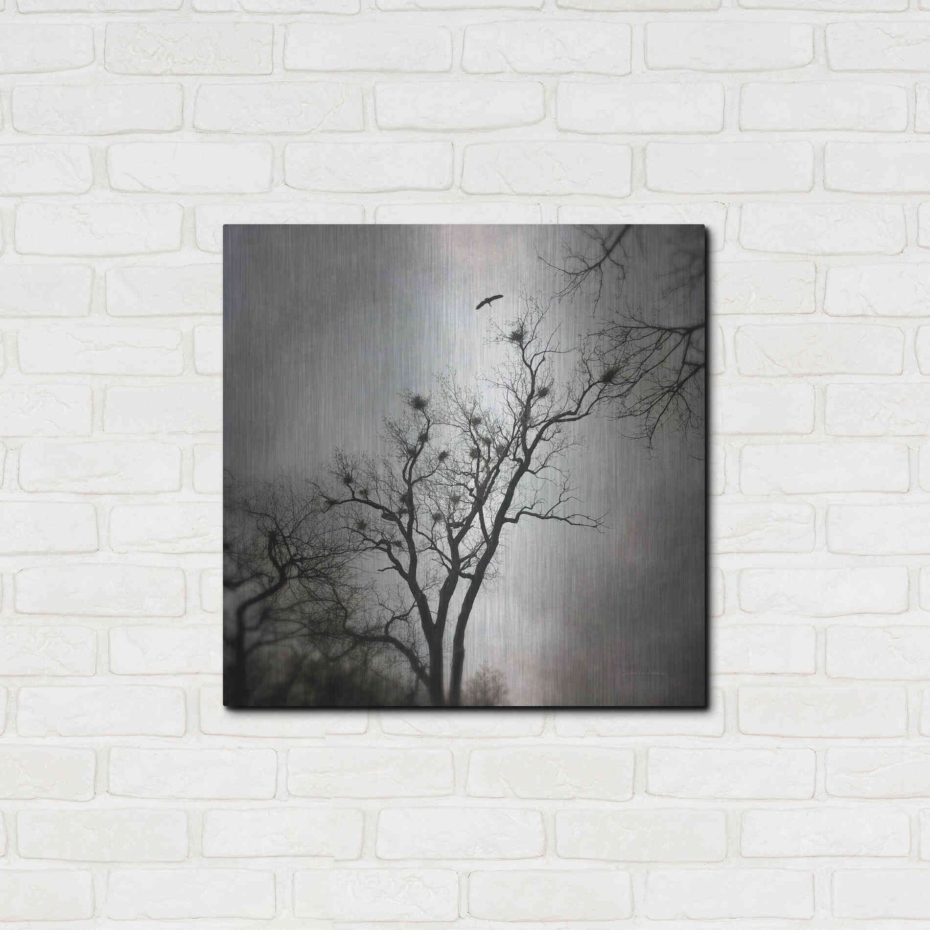 Luxe Metal Art 'The Heron Rookery' by Debra Van Swearingen, Metal Wall Art,24x24