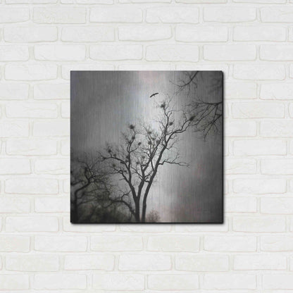 Luxe Metal Art 'The Heron Rookery' by Debra Van Swearingen, Metal Wall Art,24x24