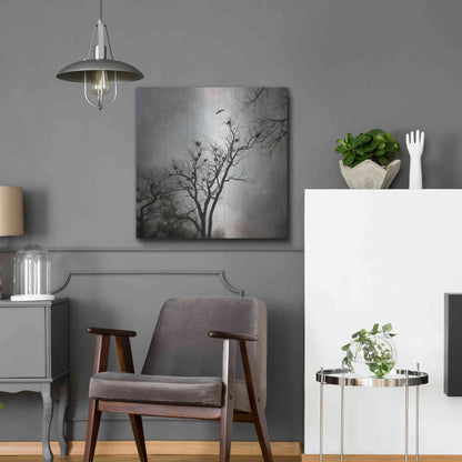 Luxe Metal Art 'The Heron Rookery' by Debra Van Swearingen, Metal Wall Art,24x24