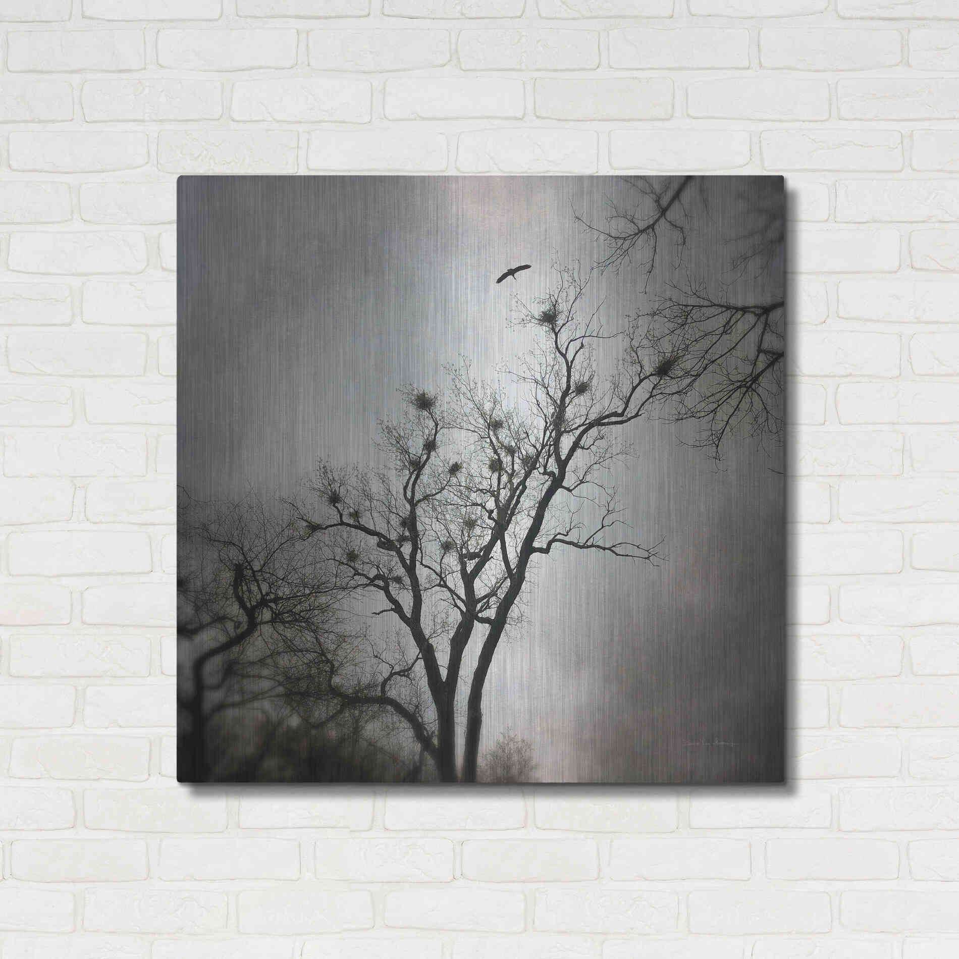 Luxe Metal Art 'The Heron Rookery' by Debra Van Swearingen, Metal Wall Art,36x36