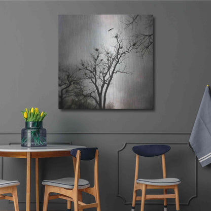 Luxe Metal Art 'The Heron Rookery' by Debra Van Swearingen, Metal Wall Art,36x36