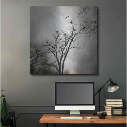 Luxe Metal Art 'The Heron Rookery' by Debra Van Swearingen, Metal Wall Art,36x36