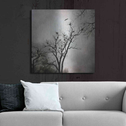 Luxe Metal Art 'The Heron Rookery' by Debra Van Swearingen, Metal Wall Art,36x36