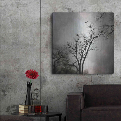 Luxe Metal Art 'The Heron Rookery' by Debra Van Swearingen, Metal Wall Art,36x36