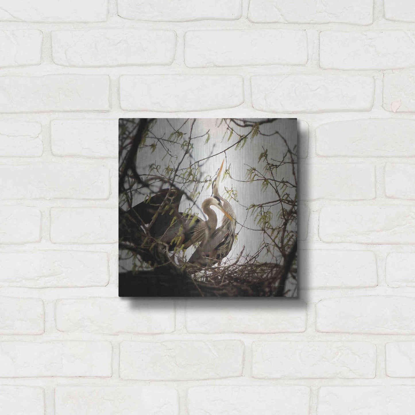 Luxe Metal Art 'Connection' by Debra Van Swearingen, Metal Wall Art,12x12