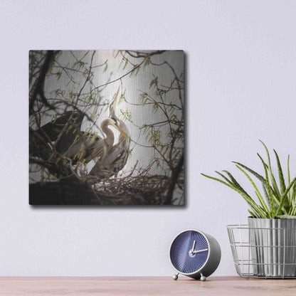 Luxe Metal Art 'Connection' by Debra Van Swearingen, Metal Wall Art,12x12