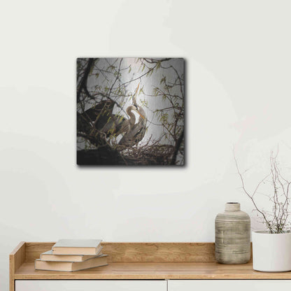 Luxe Metal Art 'Connection' by Debra Van Swearingen, Metal Wall Art,12x12