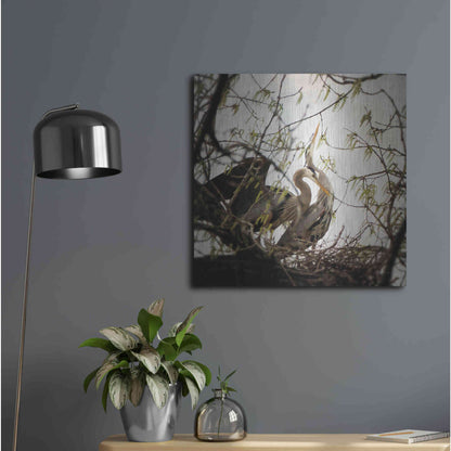 Luxe Metal Art 'Connection' by Debra Van Swearingen, Metal Wall Art,24x24