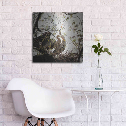 Luxe Metal Art 'Connection' by Debra Van Swearingen, Metal Wall Art,24x24