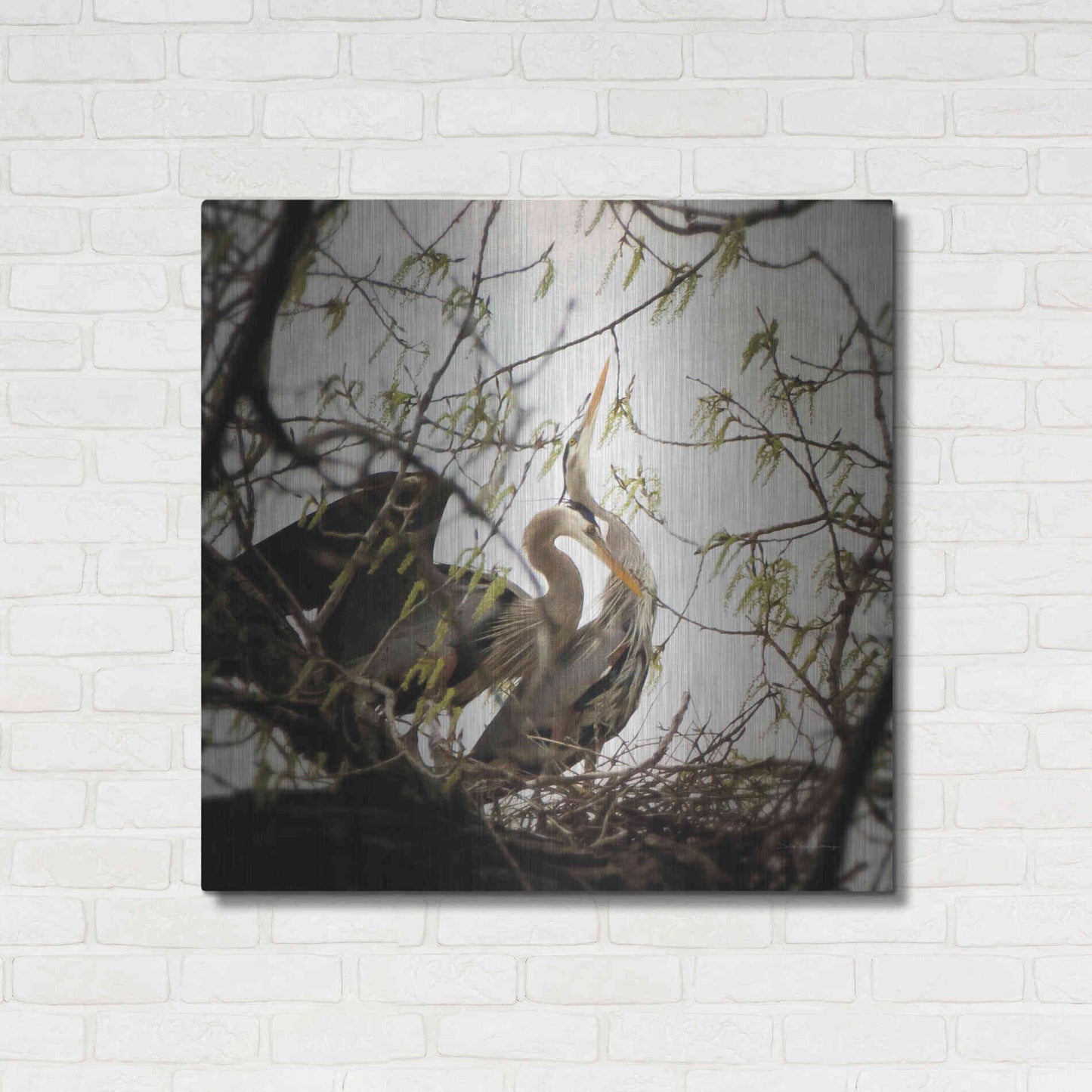 Luxe Metal Art 'Connection' by Debra Van Swearingen, Metal Wall Art,36x36