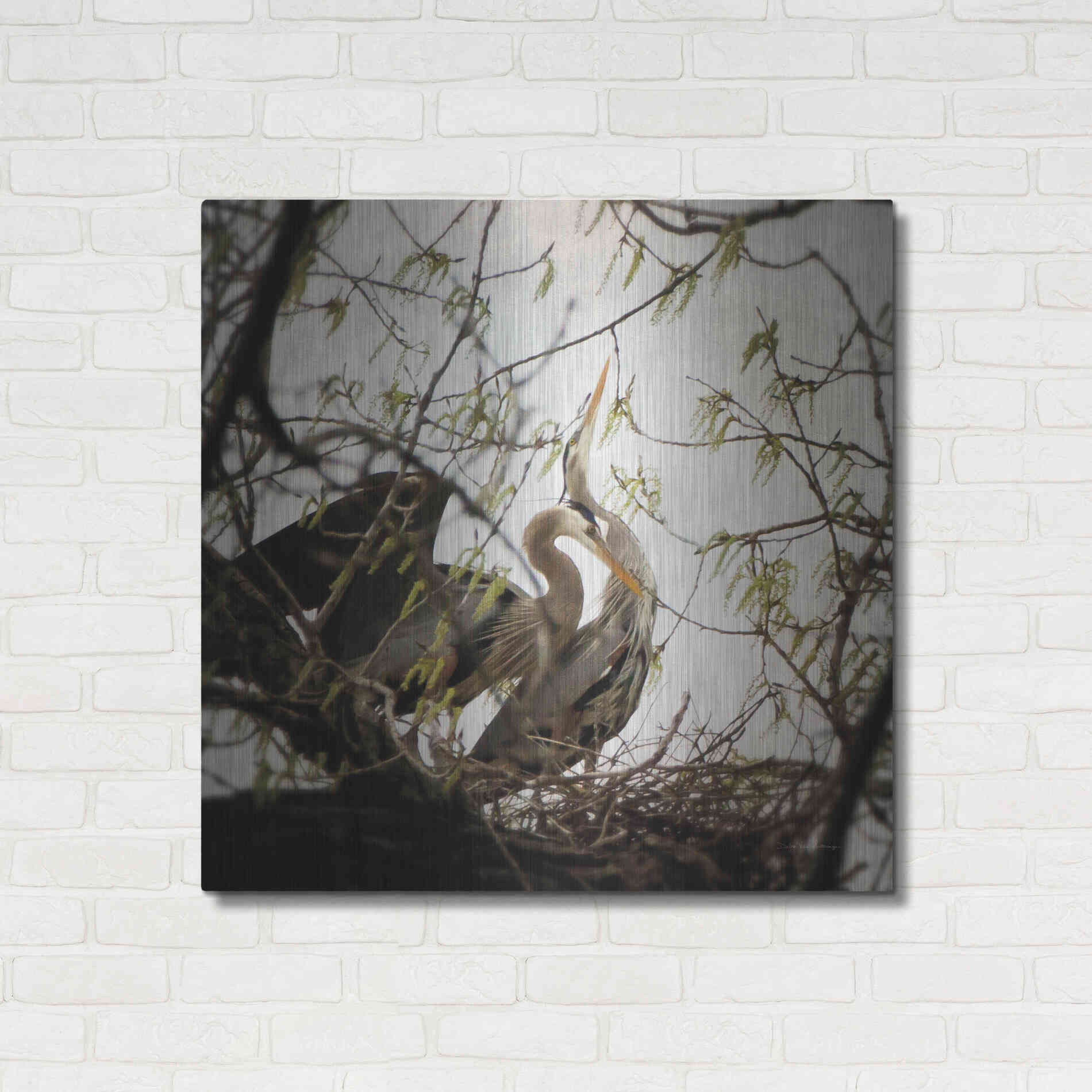 Luxe Metal Art 'Connection' by Debra Van Swearingen, Metal Wall Art,36x36