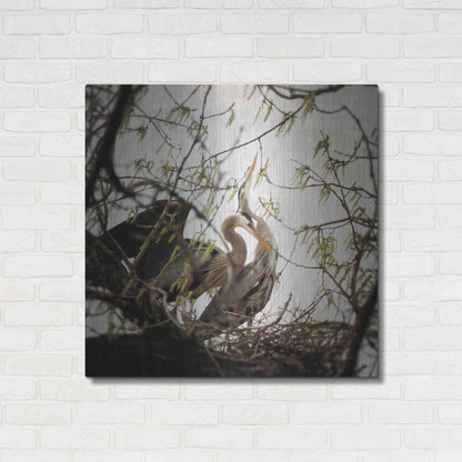 Luxe Metal Art 'Connection' by Debra Van Swearingen, Metal Wall Art,36x36