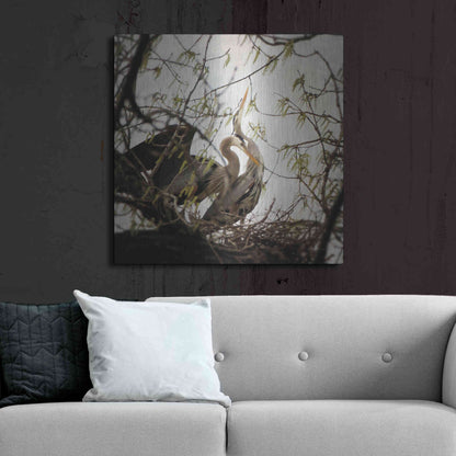 Luxe Metal Art 'Connection' by Debra Van Swearingen, Metal Wall Art,36x36