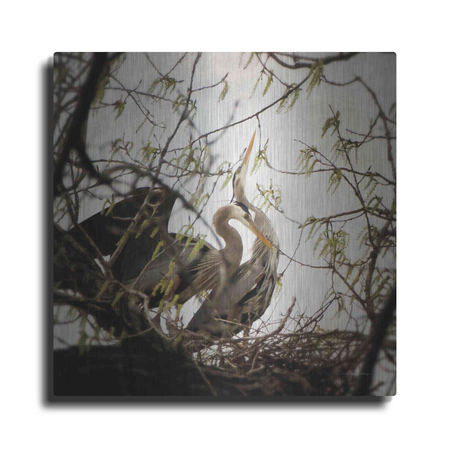 Luxe Metal Art 'Connection' by Debra Van Swearingen, Metal Wall Art