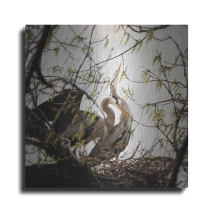 Luxe Metal Art 'Connection' by Debra Van Swearingen, Metal Wall Art