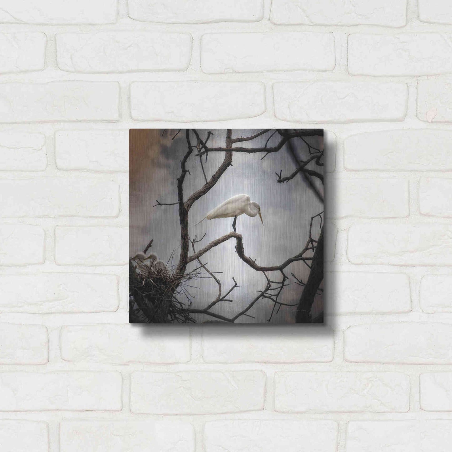 Luxe Metal Art 'Respite' by Debra Van Swearingen, Metal Wall Art,12x12