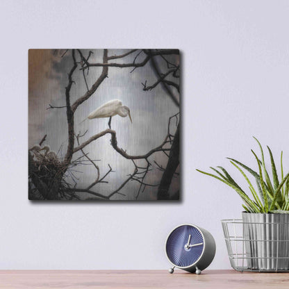 Luxe Metal Art 'Respite' by Debra Van Swearingen, Metal Wall Art,12x12