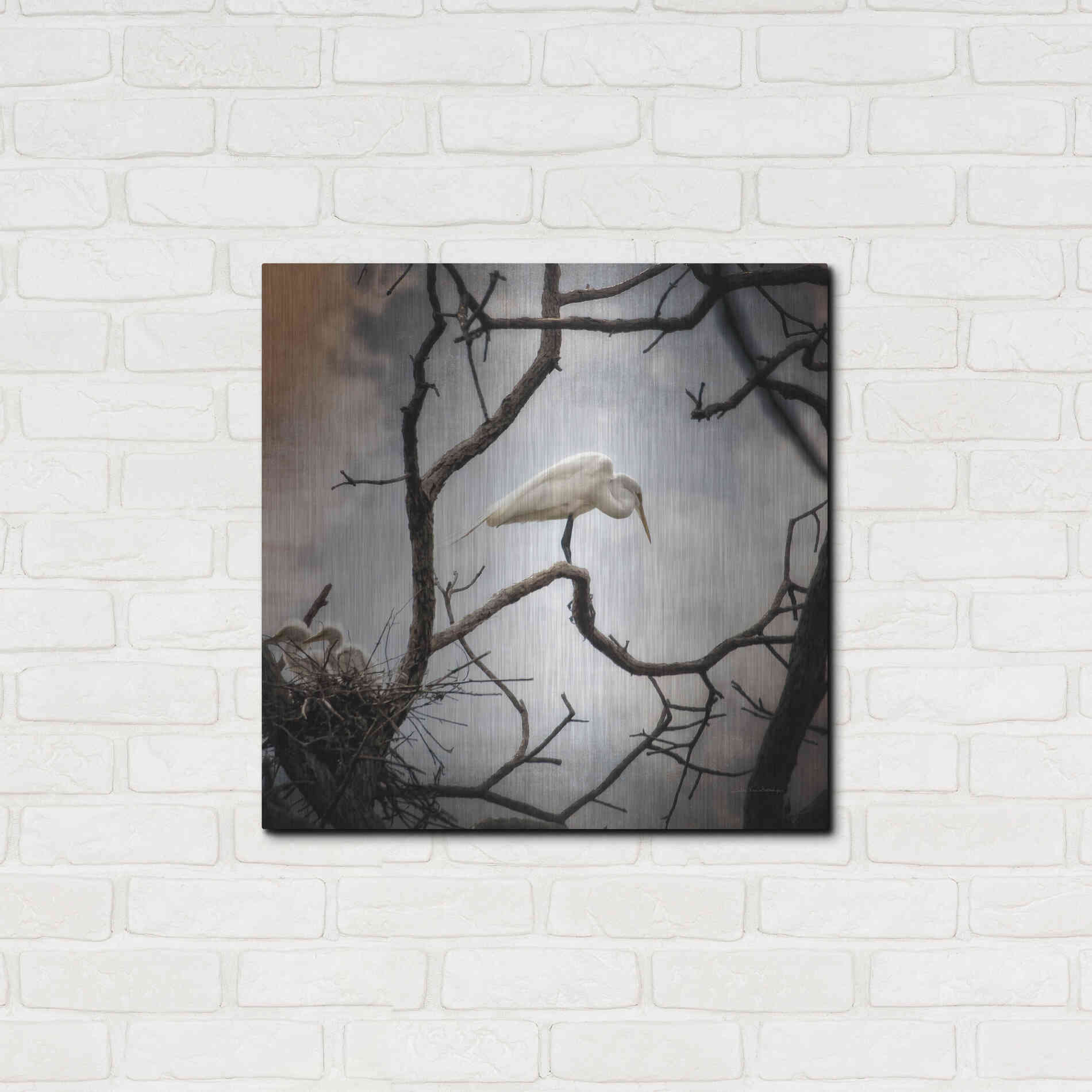 Luxe Metal Art 'Respite' by Debra Van Swearingen, Metal Wall Art,24x24