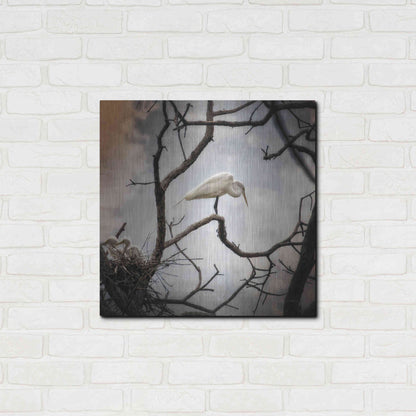 Luxe Metal Art 'Respite' by Debra Van Swearingen, Metal Wall Art,24x24